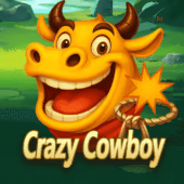 Crazy Cowboy