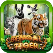 Bengal Tiger