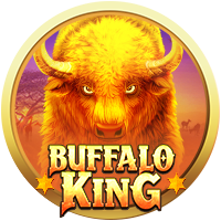 Buffalo King